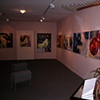 Installation at Beveled Edge Gallery