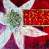 red seeds