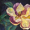 fragrant magnolia
