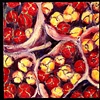 market tulips