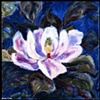 small magnolia on blue