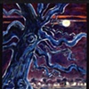 night live oak