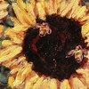 Sunflower II