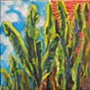 red banana leaves