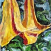 Angel trumpet 1