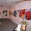 Installation at Beveled Edge Gallery