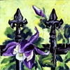 purple flower on yellow