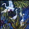 birds at Audubon park - NOLA