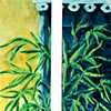 bamboo in Irish channel