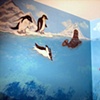 sea lion