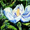 magnolia 1