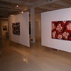 Installation at Gallery Gora