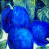 blue plums 1