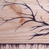 Roots