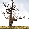 Christina Diane  Photographer
