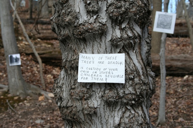 Trees Are Deadly