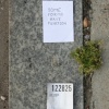 Some Forms Have Function