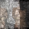untitled, 2005.