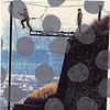 untitled, 2004.