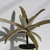 Wool houseplant