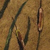 Coconut fiber wallpaper