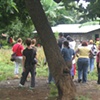 Walk through the Pineapple Cooperative