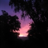 Photo gallery