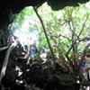 Inside of a bat cave