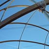 View from inside