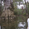 Bartram Canoe Triangle