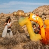 Monster Tree Inflated