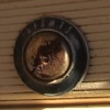 Video Still