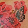 cover-ups, touch-ups and add-ons