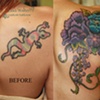 peonies, morning glories and wisteria cover