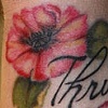 "Thrice" with poppies