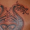 Celtic Dragons