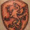 Griffon Shield