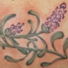 lavender in watercolor style