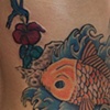 Koi cover-up and touch -up last session