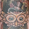 Octo- owl