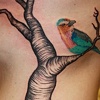Tree and finch (inspired by artist Fabio Napoleoni)