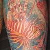 Coral Reef leg
