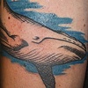 Crosshatched whale