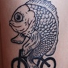 Fish on a Bicycle