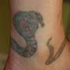 Cobra (before)