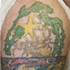 leaves, thorns and acorns