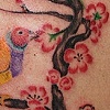 Finches and cherry blossoms