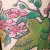After, green birds and cherry blossoms