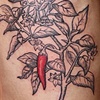 chili peppers 