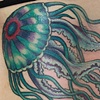 Jelly fish
